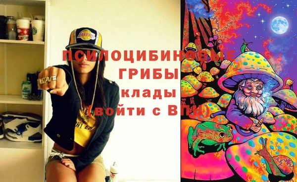 мяу мяу мука Алексеевка