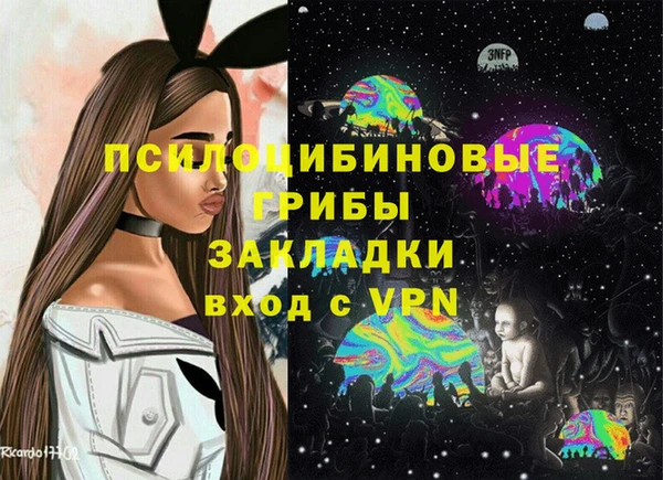ECSTASY Алзамай