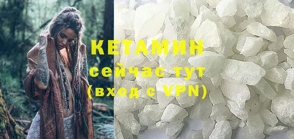 сатива Сатка
