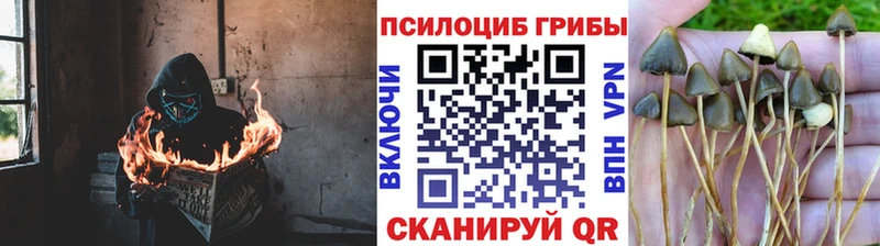 Галлюциногенные грибы мухоморы  Еманжелинск 