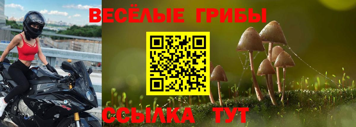 Еманжелинск  Галлюциногенные грибы прущие грибы  купить закладку  Вход с VPN  Псилоцибиновые грибы Psilocybine cubensis 